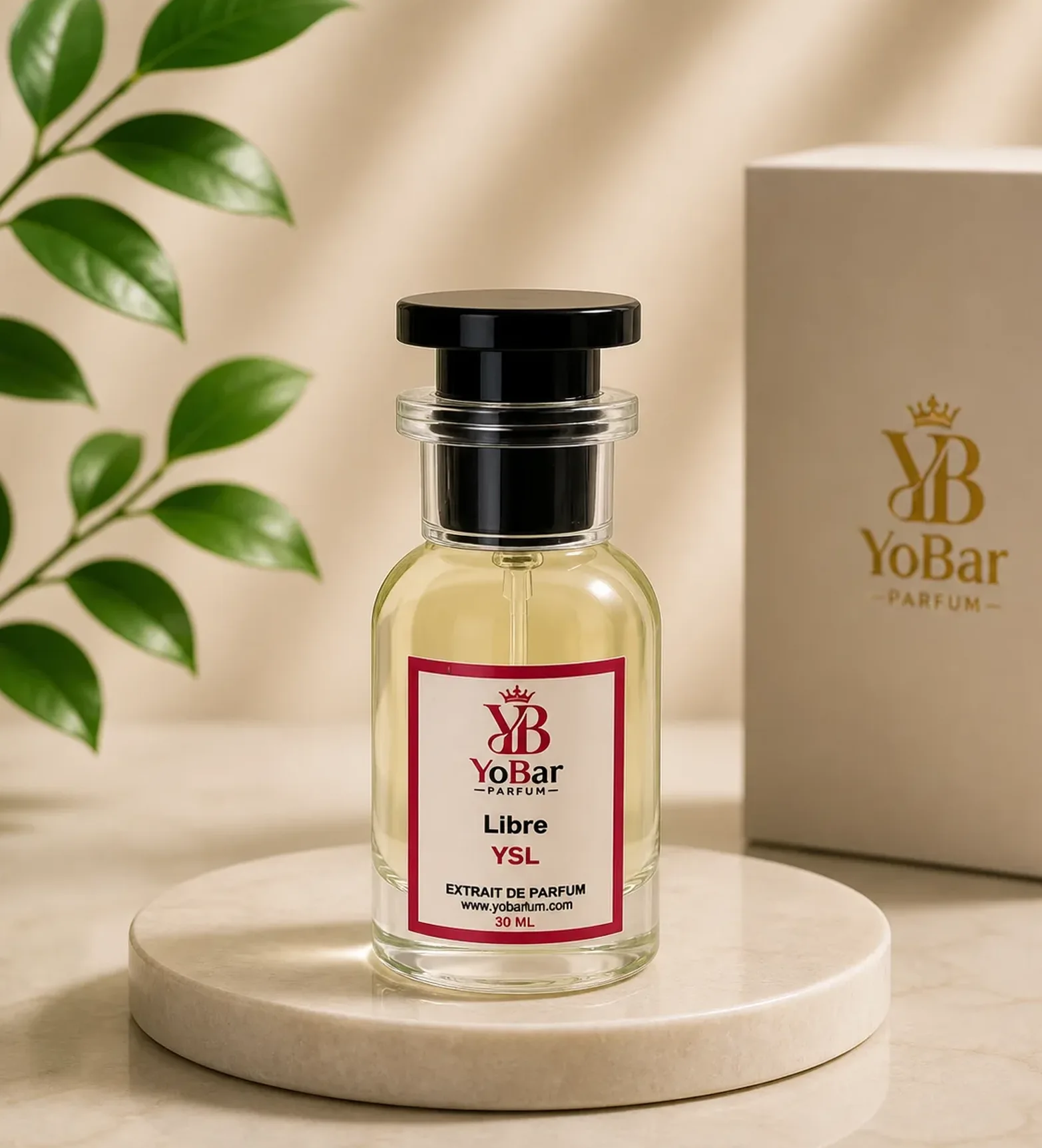Libre YSL