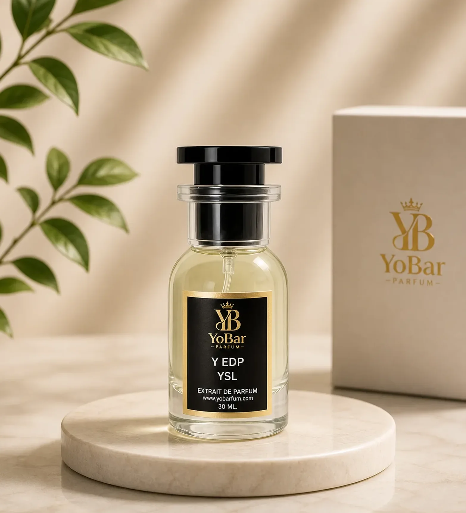 Y EDP YSL
